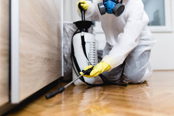 Reliable Center Point, AL Pest Control Solutions