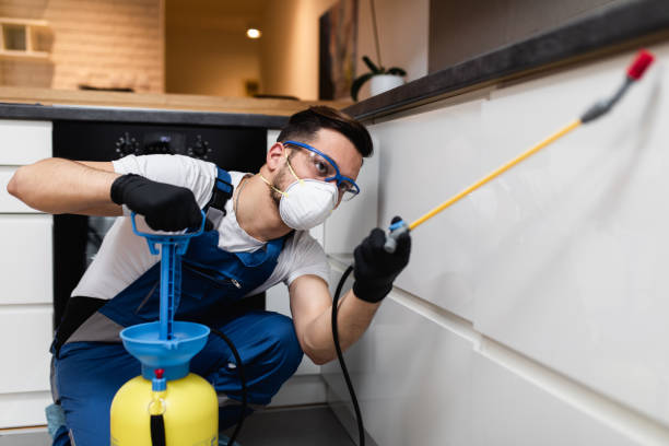 Best Termite Control Services  in Center Point, AL