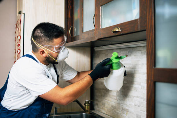 Best Commercial Pest Control Services  in Center Point, AL
