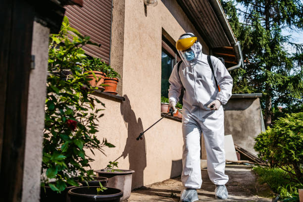 Best Wasp Removal Services  in Center Point, AL