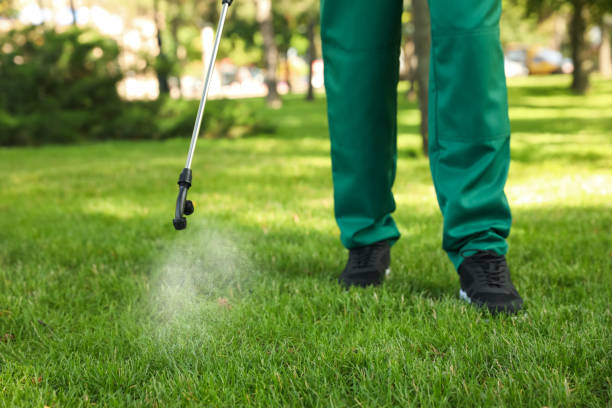 Pest Control Cost in Center Point, AL