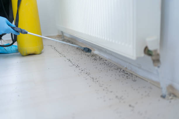 Best Best Pest Control Companies  in Center Point, AL